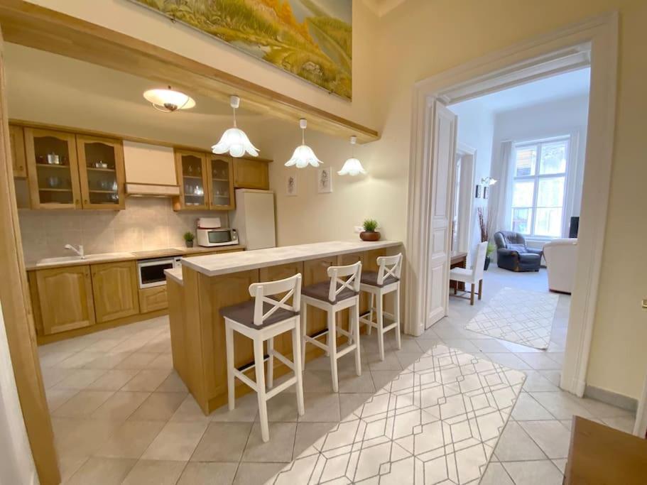 Spacious Andrassy Boedapest